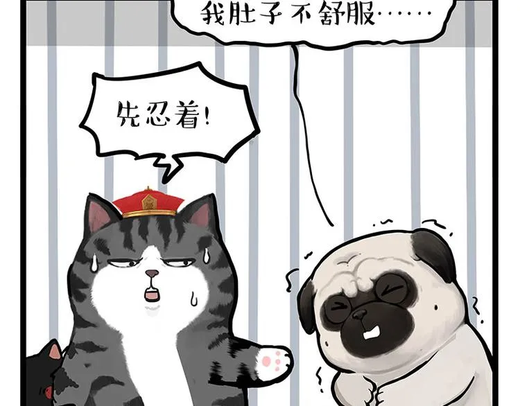 第284话 美喵竟是我自己 第56页