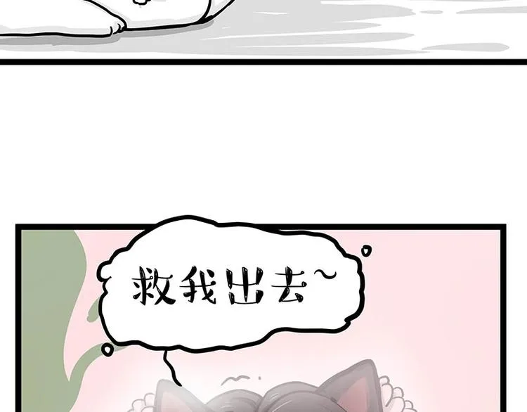 第284话 美喵竟是我自己 第62页