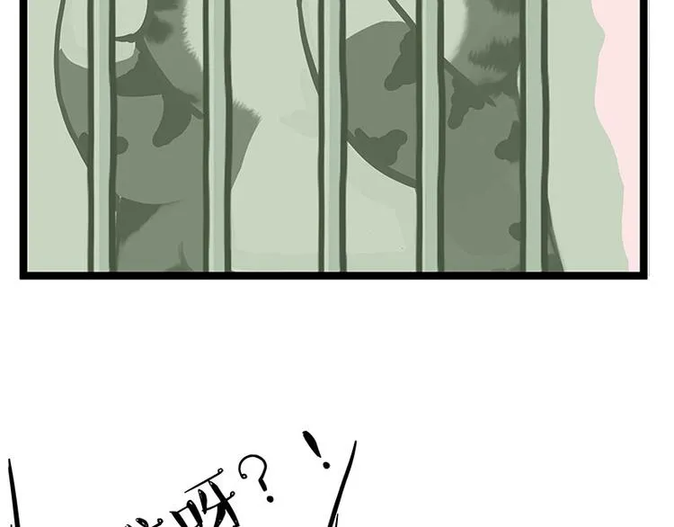 第284话 美喵竟是我自己 第65页