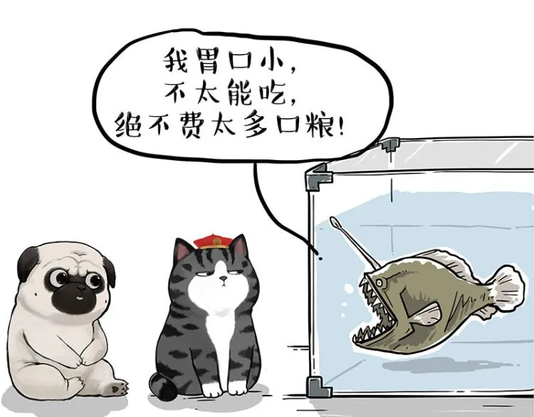 第286话 动物世界 第33页