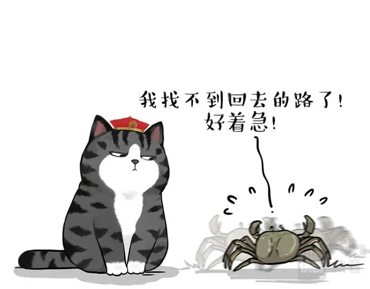 第286话 动物世界 第42页