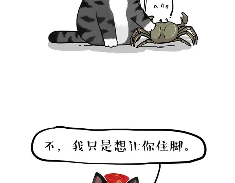 第286话 动物世界 第44页