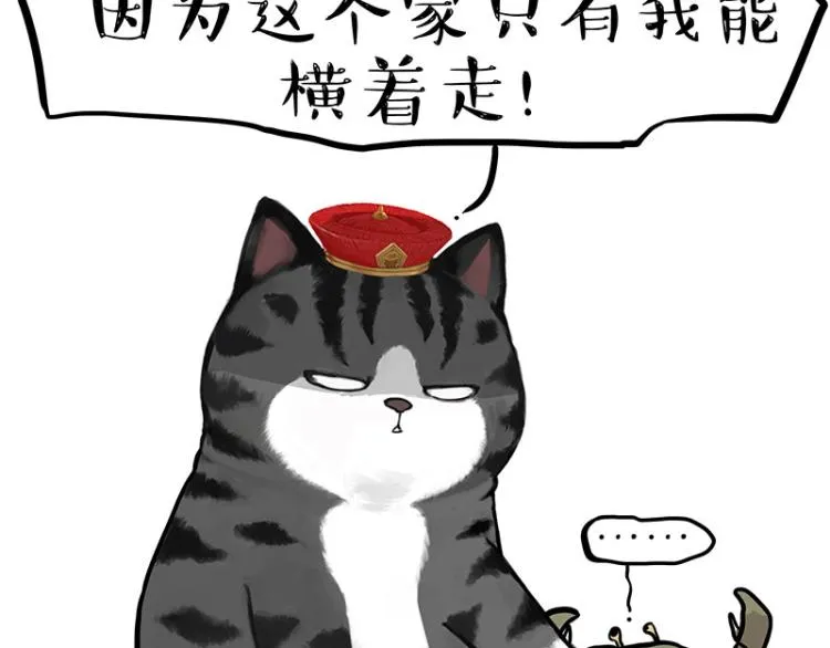 第286话 动物世界 第46页