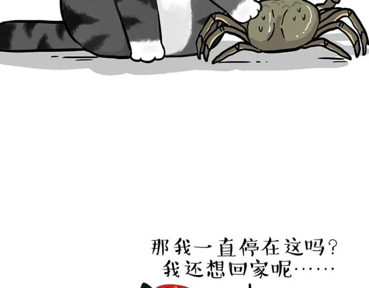 第286话 动物世界 第47页