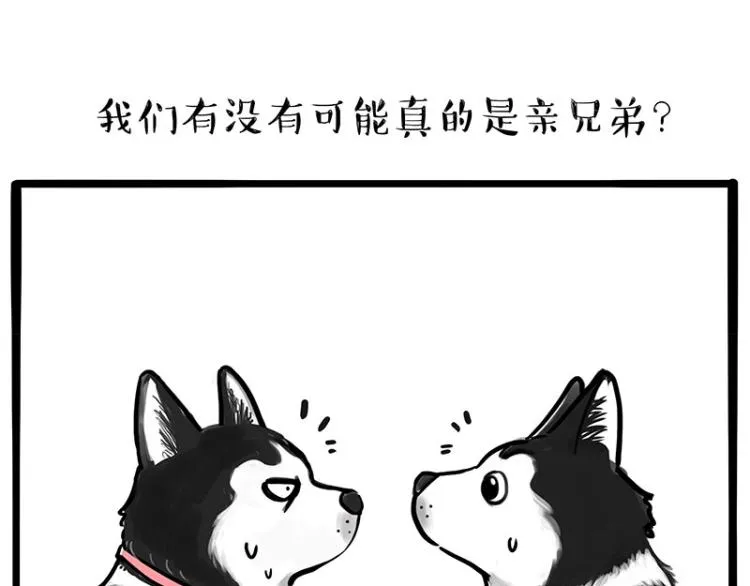 第287话 真假牛能？！ 第11页