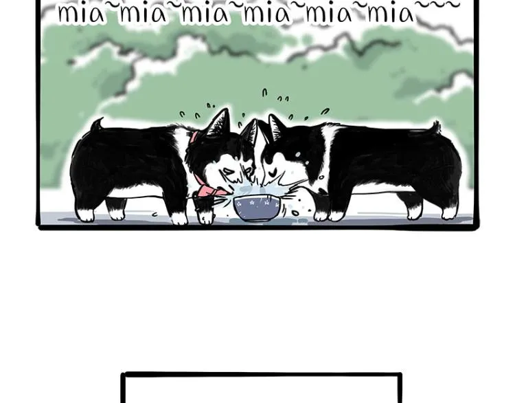 第287话 真假牛能？！ 第22页