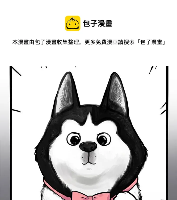 第287话 真假牛能？！ 第43页