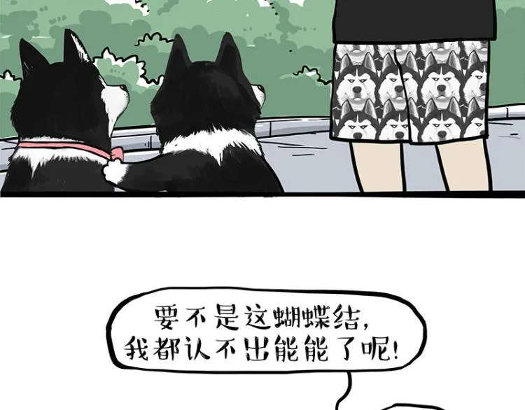 第287话 真假牛能？！ 第50页