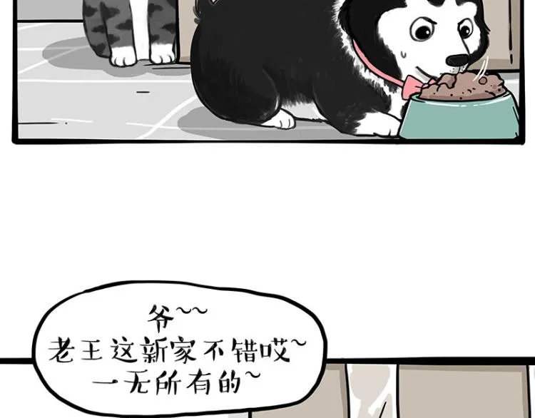 第288话 冒牌货，拿来吧你！ 第5页