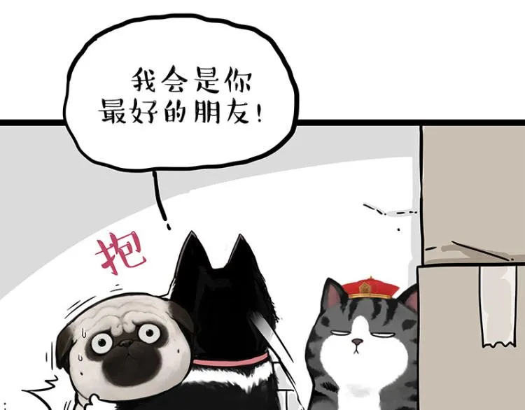 第288话 冒牌货，拿来吧你！ 第13页