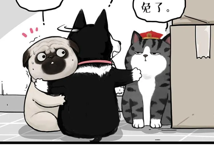 第288话 冒牌货，拿来吧你！ 第15页