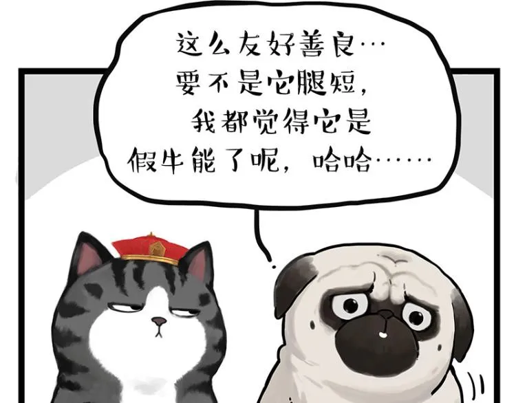 第288话 冒牌货，拿来吧你！ 第20页