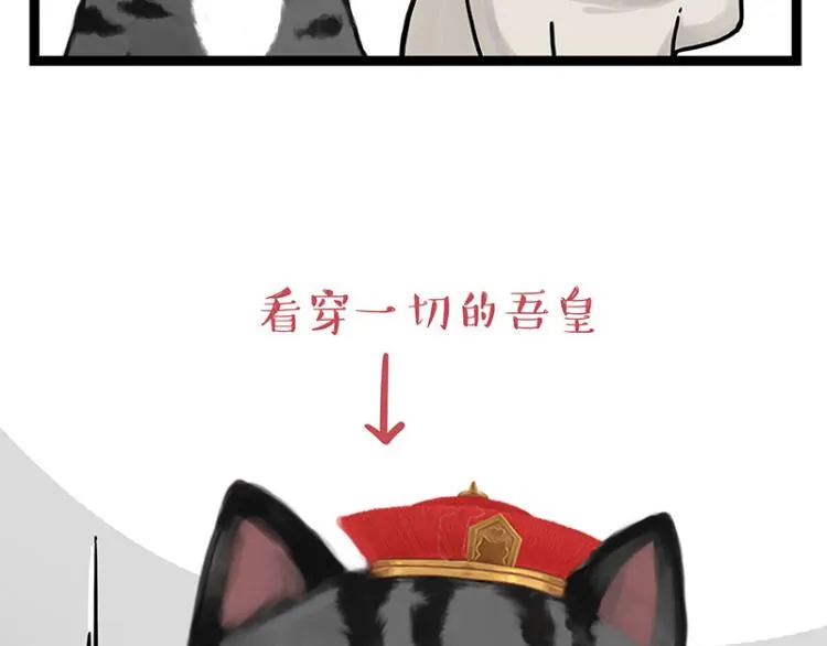 第288话 冒牌货，拿来吧你！ 第21页