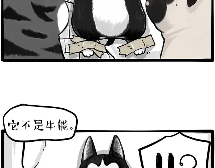 第288话 冒牌货，拿来吧你！ 第39页