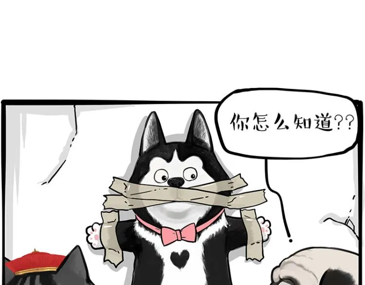 第288话 冒牌货，拿来吧你！ 第41页