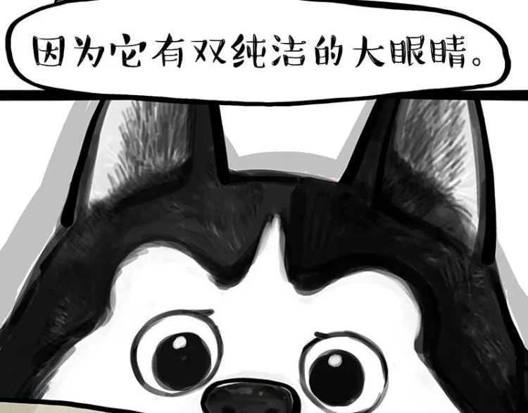 第288话 冒牌货，拿来吧你！ 第43页