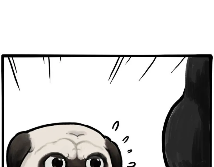 第288话 冒牌货，拿来吧你！ 第47页