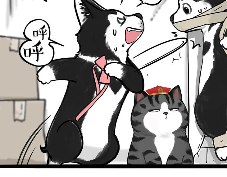 第288话 冒牌货，拿来吧你！ 第61页