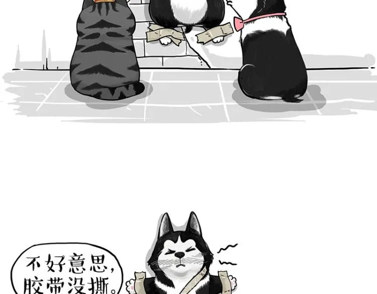 第288话 冒牌货，拿来吧你！ 第67页