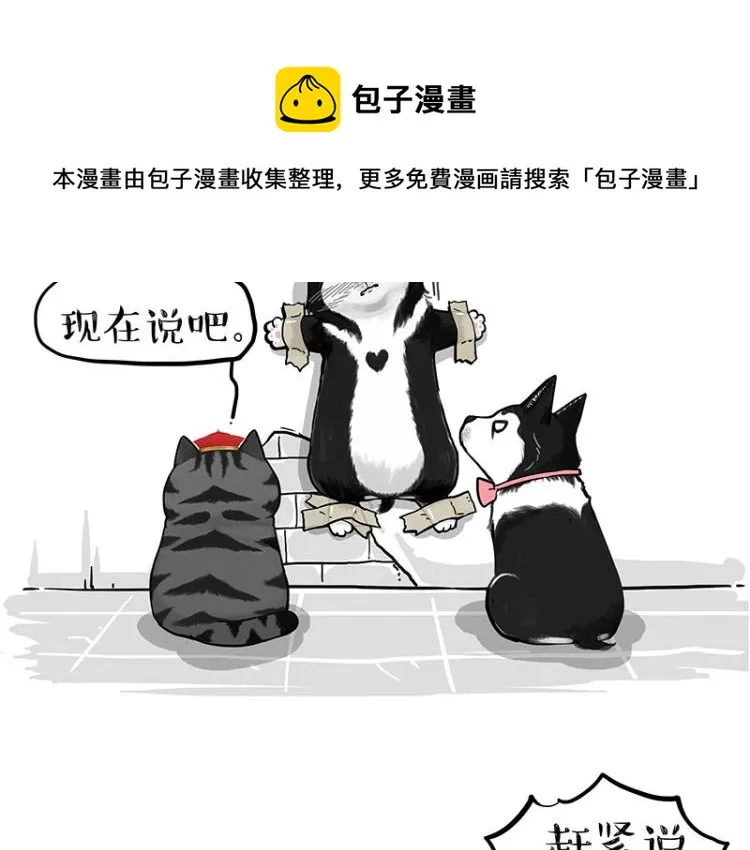 第288话 冒牌货，拿来吧你！ 第69页