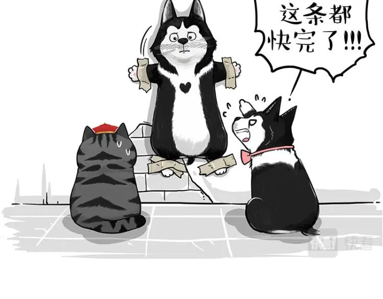 第288话 冒牌货，拿来吧你！ 第70页