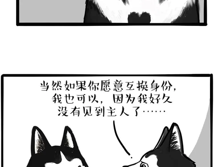 第289话 吹牛狗真牛 第4页