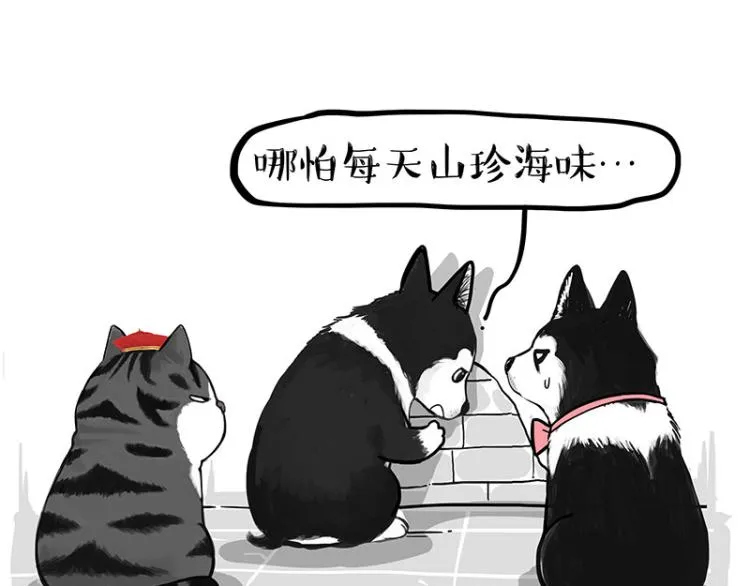第289话 吹牛狗真牛 第13页