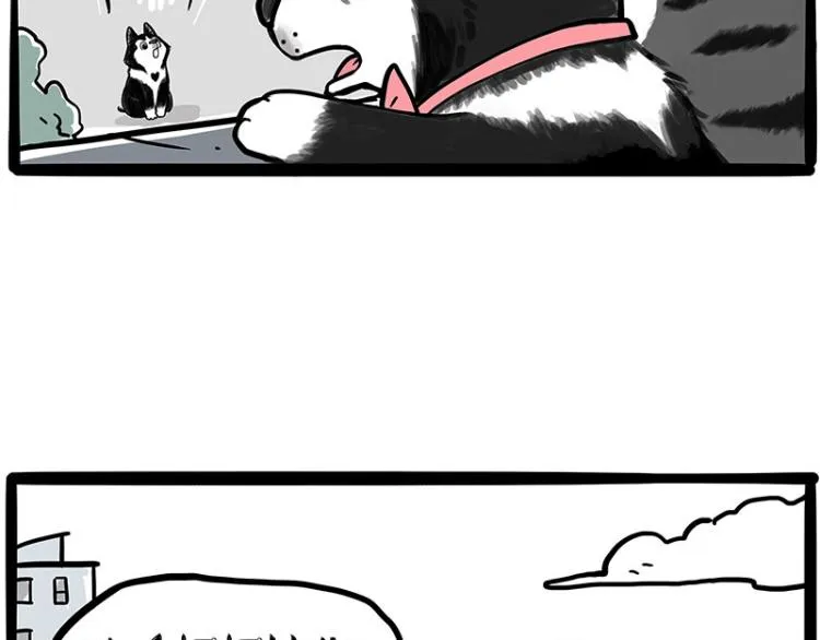 第289话 吹牛狗真牛 第37页
