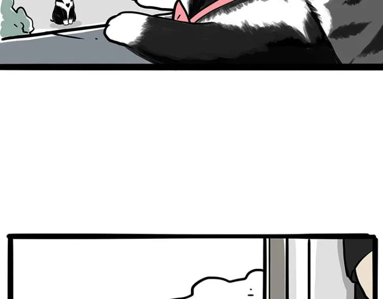 第289话 吹牛狗真牛 第40页