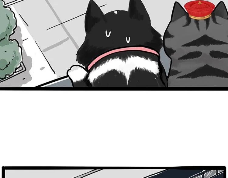 第289话 吹牛狗真牛 第47页