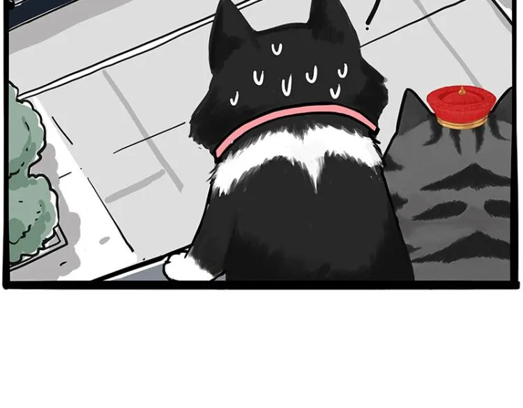 第289话 吹牛狗真牛 第50页