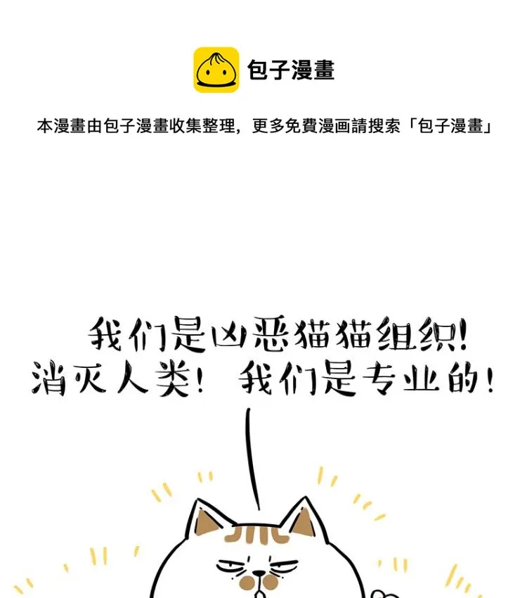 第290话 凶恶猫猫组织 第1页