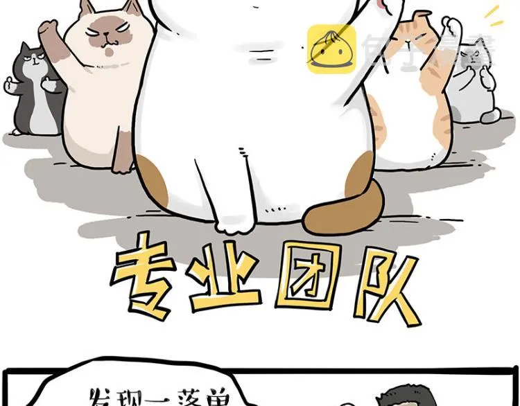第290话 凶恶猫猫组织 第2页