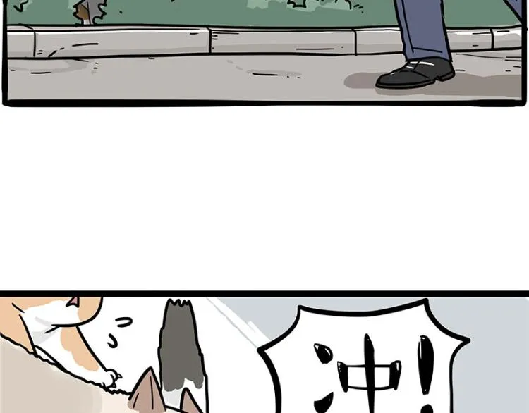 第290话 凶恶猫猫组织 第4页