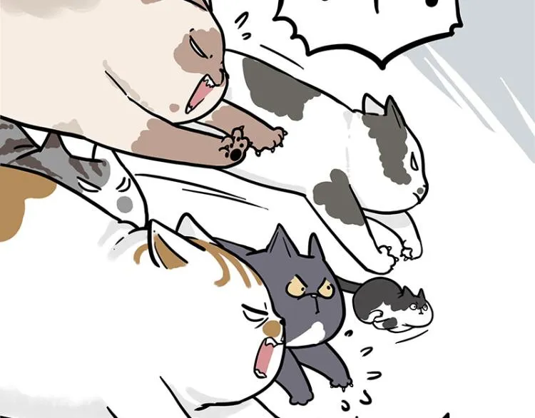 第290话 凶恶猫猫组织 第5页