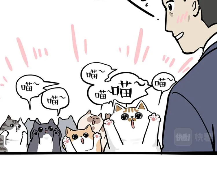 第290话 凶恶猫猫组织 第7页