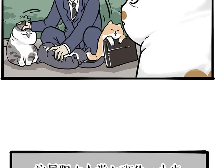 第290话 凶恶猫猫组织 第9页