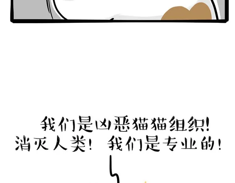 第290话 凶恶猫猫组织 第11页