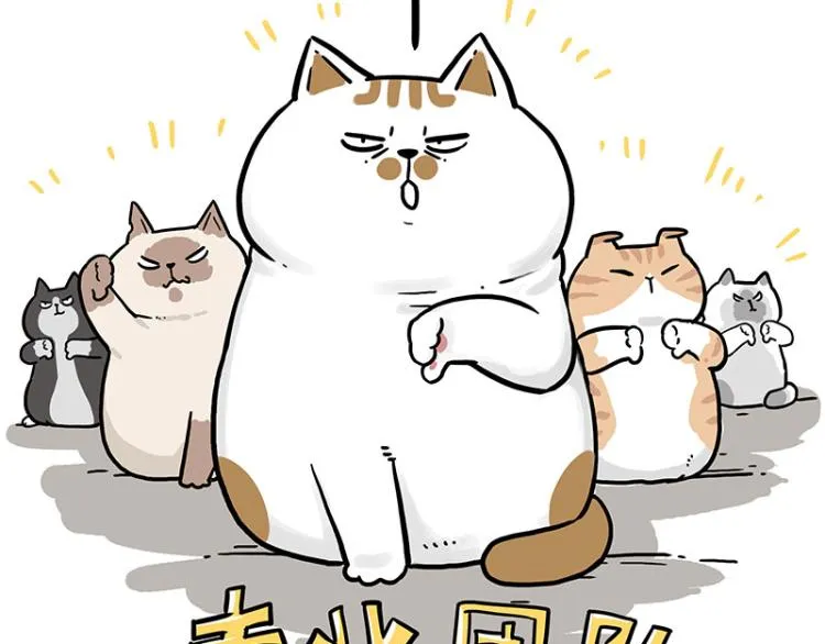 第290话 凶恶猫猫组织 第12页