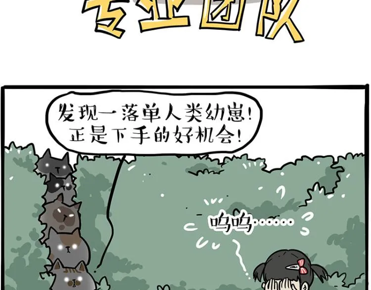 第290话 凶恶猫猫组织 第13页