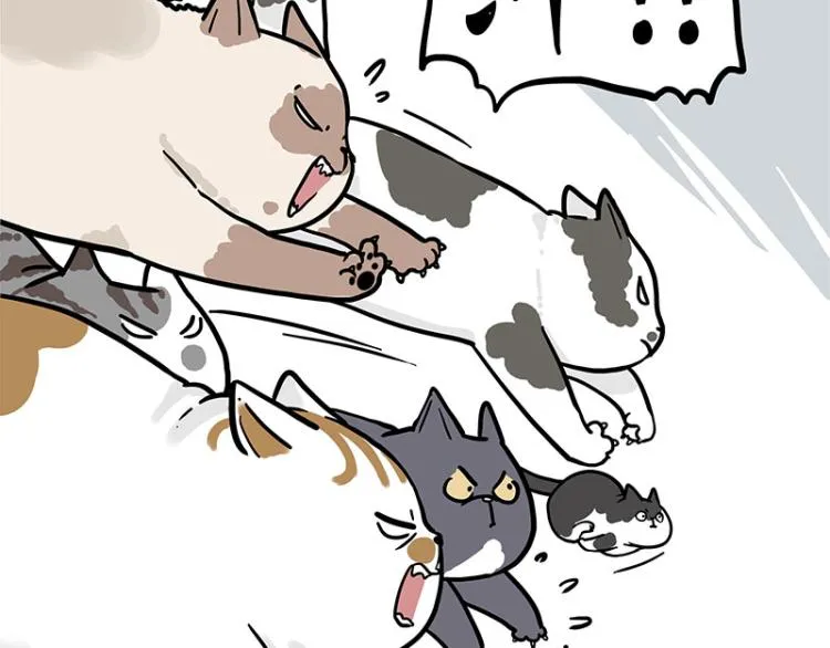 第290话 凶恶猫猫组织 第15页
