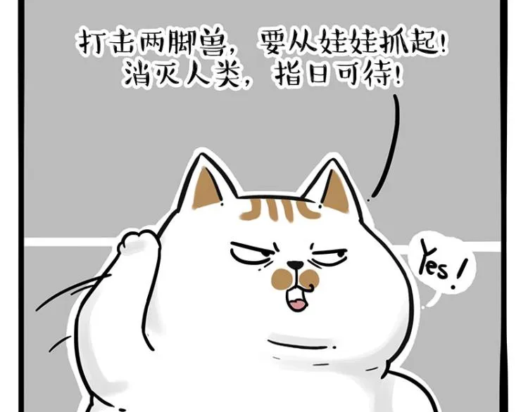 第290话 凶恶猫猫组织 第22页