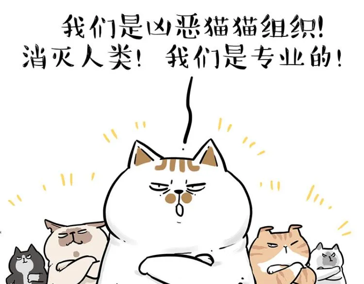 第290话 凶恶猫猫组织 第24页