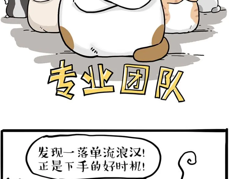 第290话 凶恶猫猫组织 第25页
