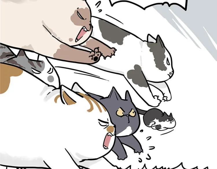 第290话 凶恶猫猫组织 第28页