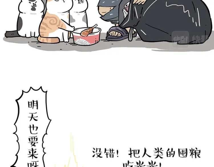 第290话 凶恶猫猫组织 第34页