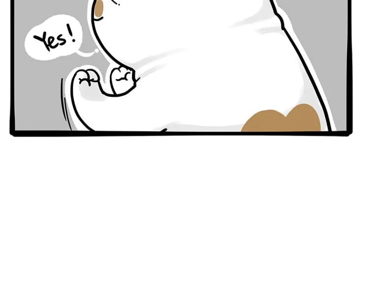 第290话 凶恶猫猫组织 第37页