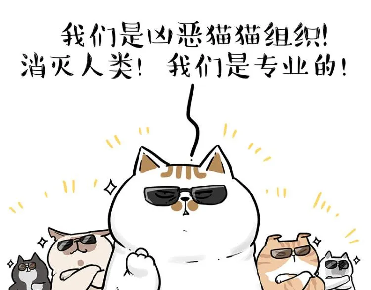 第290话 凶恶猫猫组织 第38页