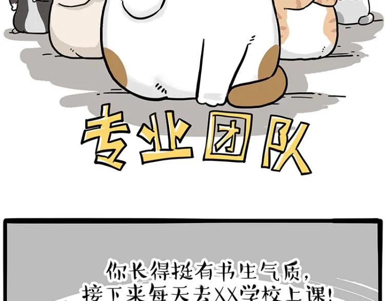 第290话 凶恶猫猫组织 第39页