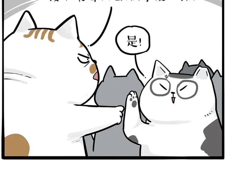 第290话 凶恶猫猫组织 第40页
